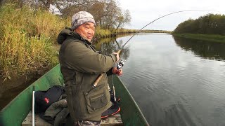 Кижуч  Мой самый короткий сезон 2019