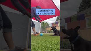 Instead Of Just Fetch, Add In Soccer