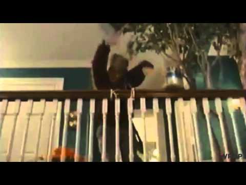 Movie Mashup: Craziest Christmas Clips