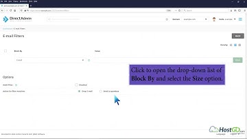 How to block emails by size using Spam filter in DirectAdmin   HostGo