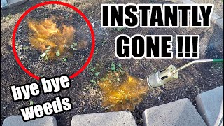 Easy Weed Removal In The Garden Using A Weed Torch