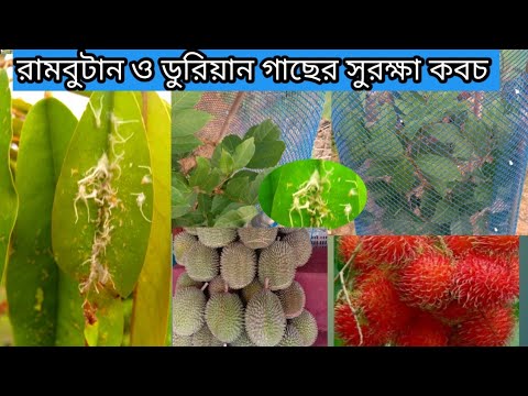 ভিডিও: পদক্ষেপ গ্রহণ করুন