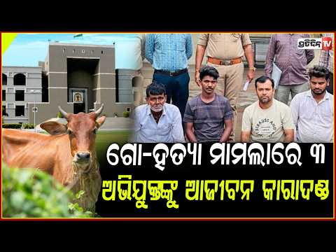 ଗୋହତ୍ୟା ମାମଲା ରେ ୩ ଜଣଙ୍କୁ ଆଜୀବନ କାରାଦଣ୍ଡ ! life imprisonment for cow slaughter and beef possession.