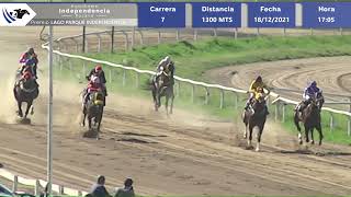 Race 7 - Meeting 12/18/2021 - Hipódromo Independencia Rosario