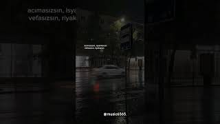 Hayat. Gibi Toygar Işıklı