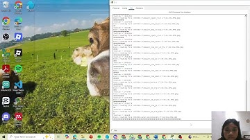 Lab : Build a Switch and Router Network (TA 2 Prak Jarkom)