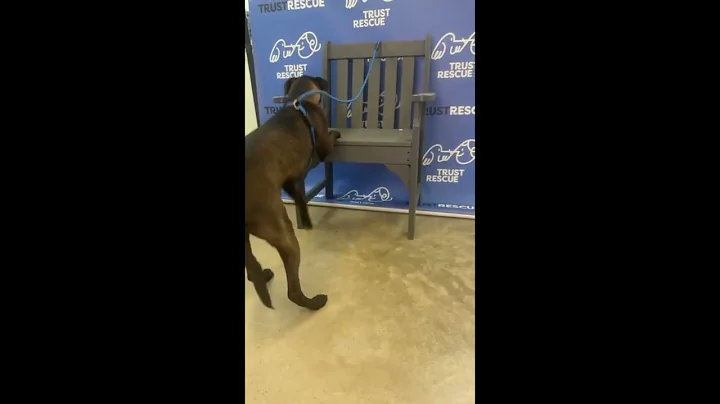 Untitled video   Made with Clipchamp 10