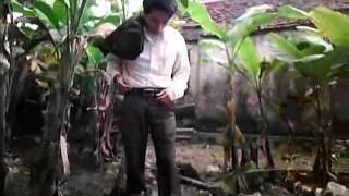 Capture 20110205 1