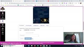 peer review in canvas