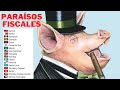 🚀 Como evaden impuestos los ricos y como pagar menos impuestos 🚀