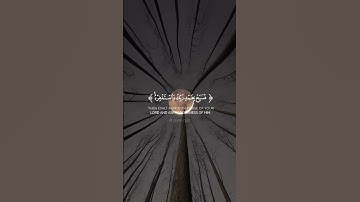سورة النصر - آيات #قرآن