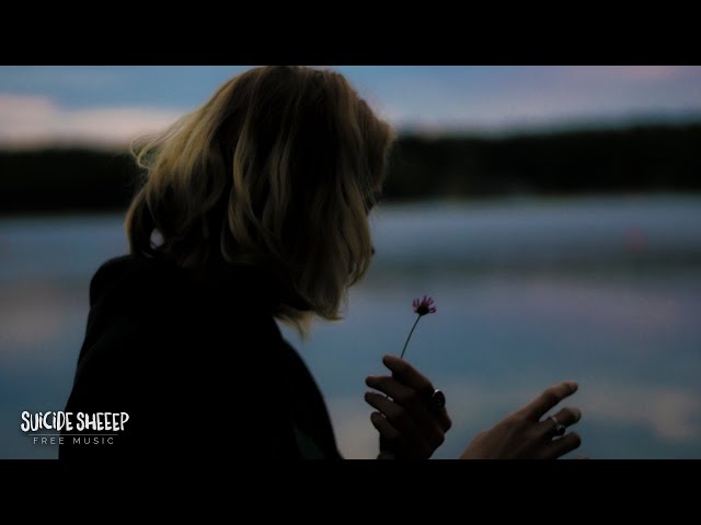 AK & Direct - Sleepless Nights