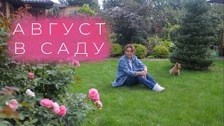 Август в саду I Сад Людмилы Кудасовой