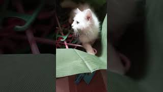 Huli Ka Anong Ginagawa Mo Dyan?