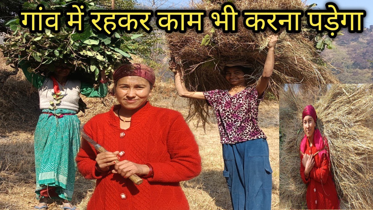 जंगल से घास लाने में आज आफ़त ही आ गई ||  Pahadi Lifestyle Vlogs || Jyoti Pahadi Vlogs #uttarakhand 