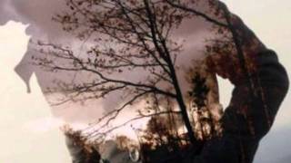 Does it Really Happen by Yes Net Worth