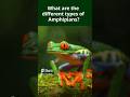 Animal Characteristics and Habitats