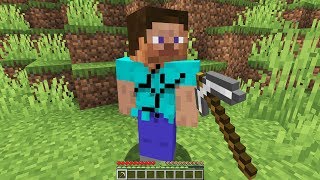 Minecraft but its insanity...