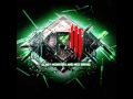 Bad Romance (Skrillex Remix)