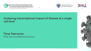 Petr Kharchenko - Analyzing transcriptional impact of disease at a single cell level