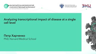 Petr Kharchenko - Analyzing transcriptional impact of disease at a single cell level Net Worth