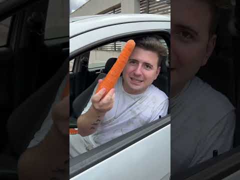 Vídeo: Agora é legal esmagar janelas do carro para tirar um cachorro de um carro quente na Flórida!