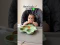 Sígueme si quieres mas  contenido de alimentación complementaria #baby #papilla  #blw