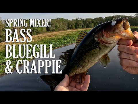 Spring BLUEGILLS Are In!  Crappie, Bass & Bluegill Mixer (unHOOKum WINNER  Announcement) 