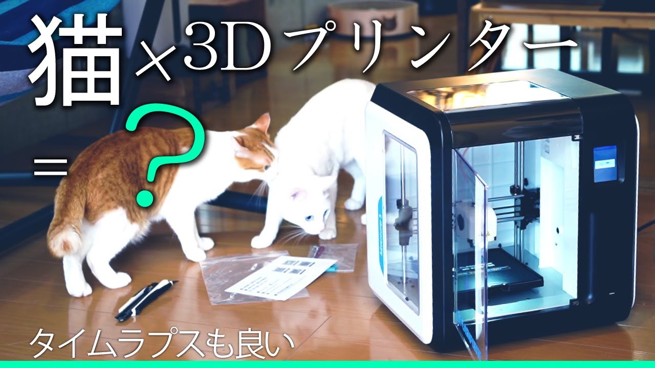 3Dプリンター買っちゃった！猫のおもちゃは気に入ってくれる