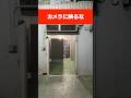 カメラに映るな#レイクレ#カメラに映るな#鬼ごっこ#かくれんぼ