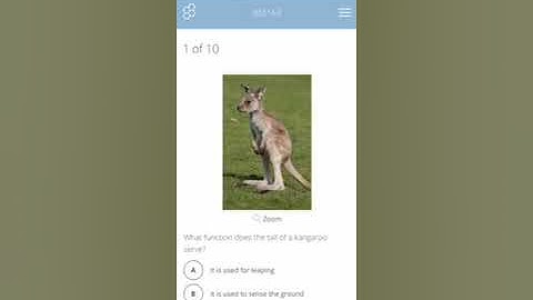 Socrative Quiz Student View