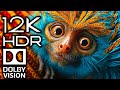 Realistic Cinematic 12K HDR 120fps Dolby Vision