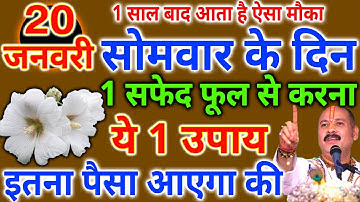 20 जनवरी माघमास पहले सोमवार को 1 सफेद फूल वाला उपाय जरूर करे || Pradeep Ji Mishra