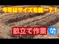動画で家庭菜園2021『今年は固定の畝で!ひたすら畝立て作業、畑の大事な下準備』Syu Channel …2021.3.11