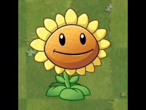 Подсолнух зомби растения