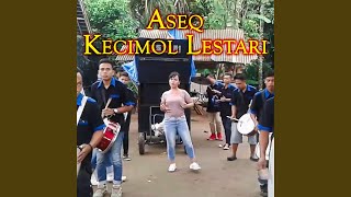 Aseq Kecimol Lestari