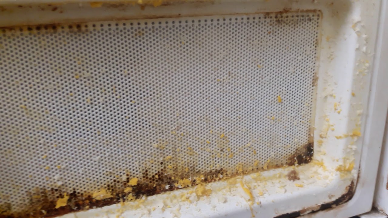 How I ruined the microwave YouTube