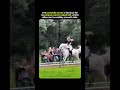The Floating Horse! 😲 (Icelandic Tölt) (Great for pure shock value #trending