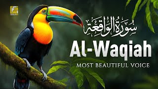 Relax and unwind with most beautiful recitation of Surah Al-Waqiah سورة الواقعة | Zikrullah TV