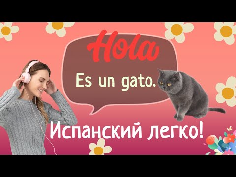ИСПАНСКИЕ фразы для начинающих выучить ЛЕГКО и быстро по песням