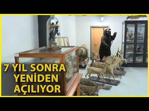 Türkiye'nin İlk Zooloji Müzesi 7 Yıl Sonra Yeniden Açılıyor