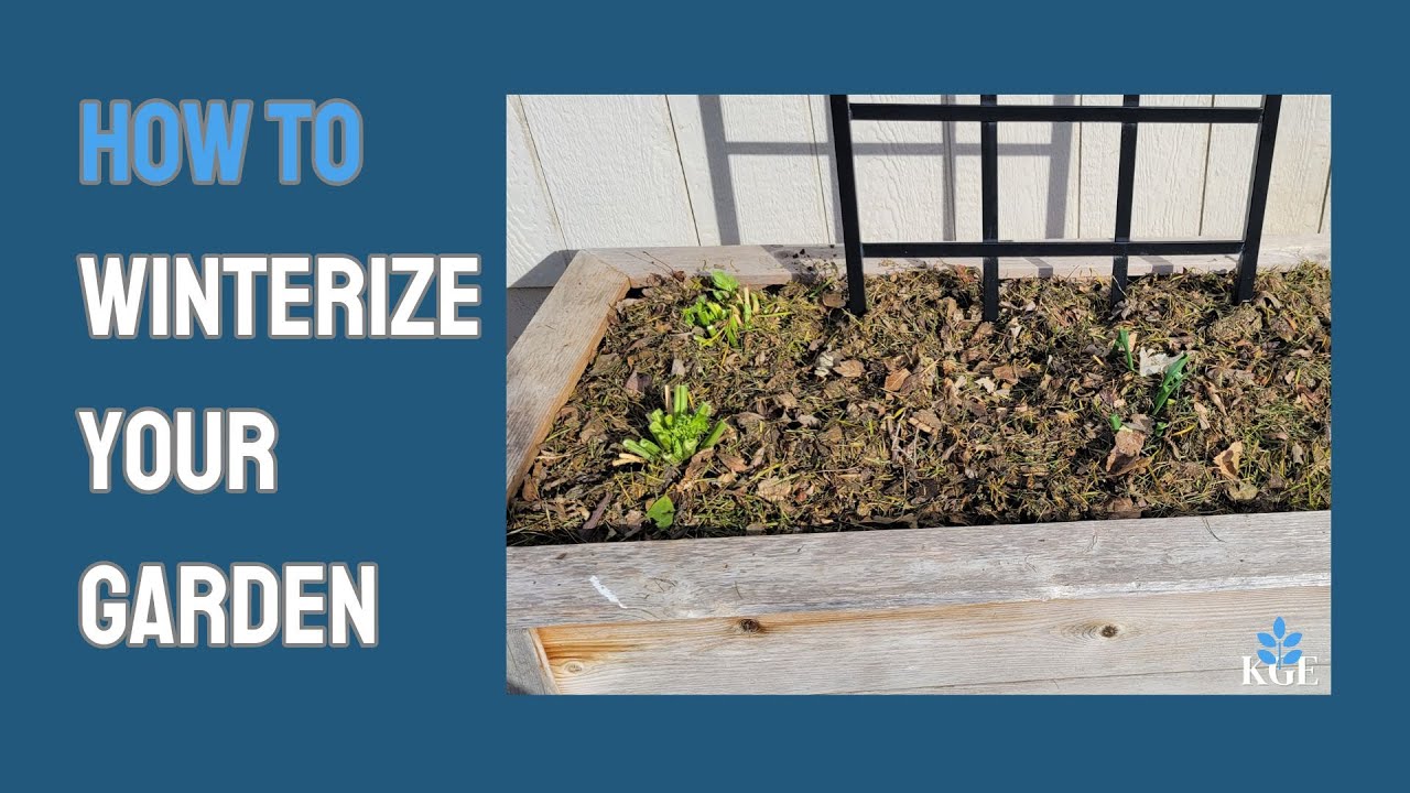 How To Winterize Your Garden #howto #garden #winter - YouTube