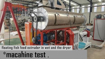 Machine test:Floating fish feed extruder and the dryer#fishfeedmachine #fishfeed #fishfarm #feed