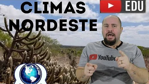 Como a maritimidade contribui para a grande variedade de clima e vegetação da região Nordeste?