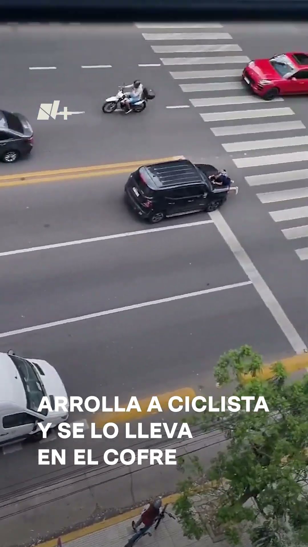 Arrolla a ciclista y se lo lleva en el cofre - N+ #shorts