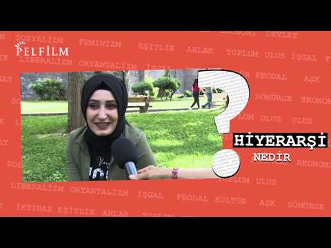 Video: Hiyerarşi Nedir