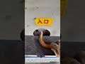 Amazing Pipe Chamfering Machine Process | Industrial Metal Finishing Technology.