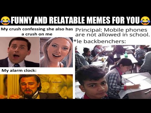 Funny memes that