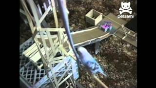 Intelligent bird completes rube goldberg machine screenshot 3