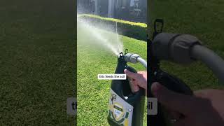 Why you should be using kelp on your lawn #lawncare #lawnmaintenance #lawngoals Why you should be using kelp on your lawn #lawncare #lawnmaintenance #lawngoals